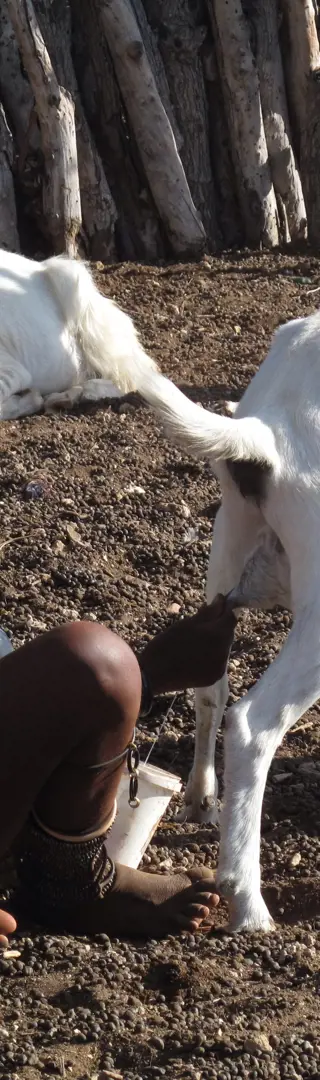 Himba